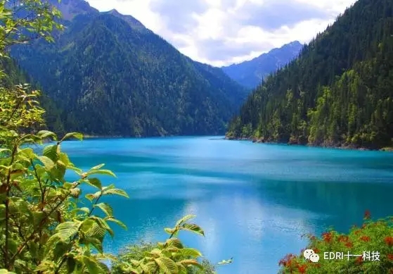 1496474691389295.jpg 3-無.webp.jpg