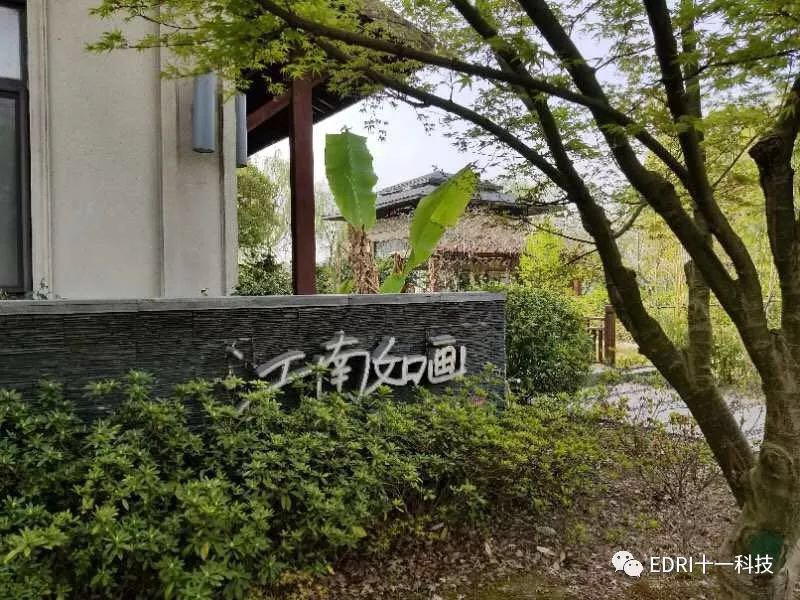 1522636472586554.jpg 10.jpg