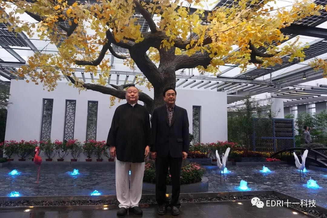 1539586803453739.jpg 7.jpg