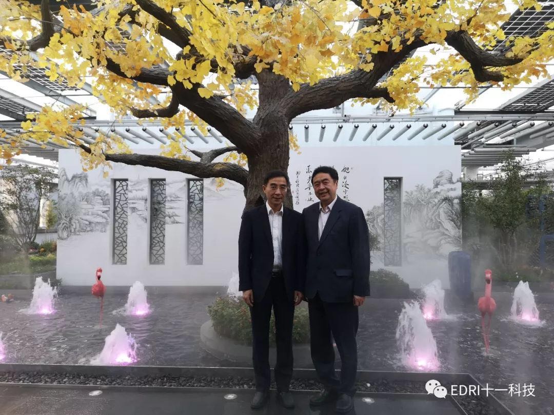 1540974979885872.jpg 10.jpg