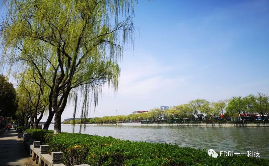 1553821951485733.jpg 2.jpg