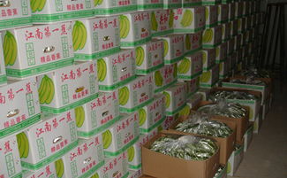 100平方米水果冷庫造價(jià)要多少錢？